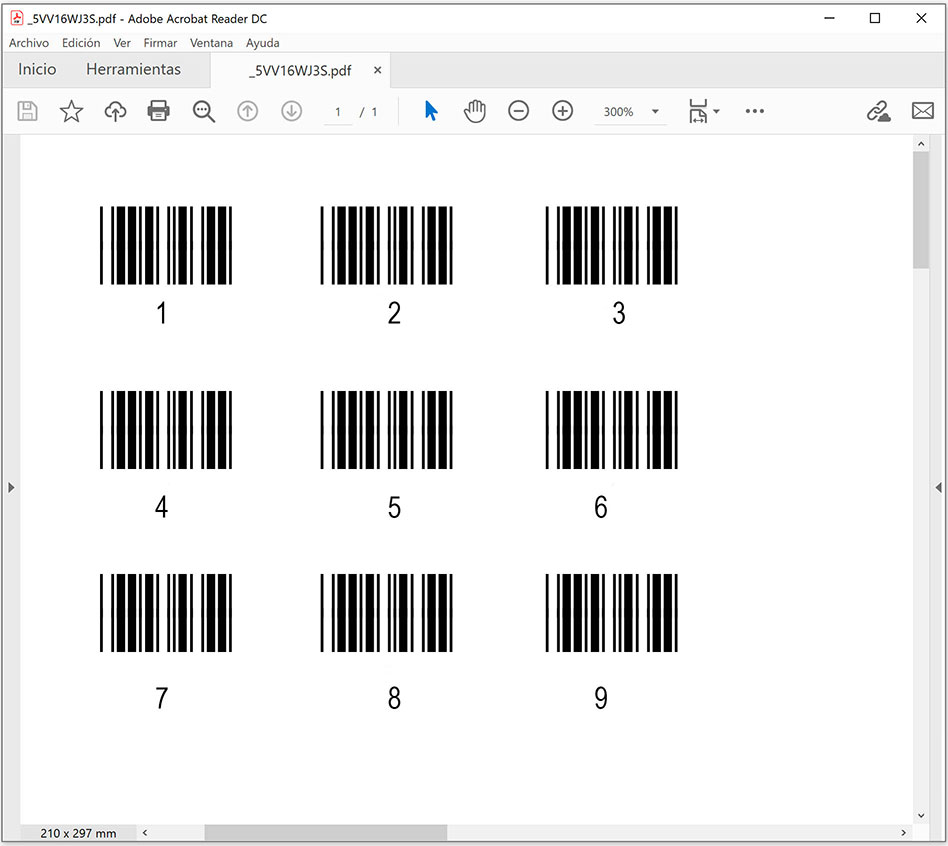 Vista previa de la impresión de números de serie en ClassicGes.